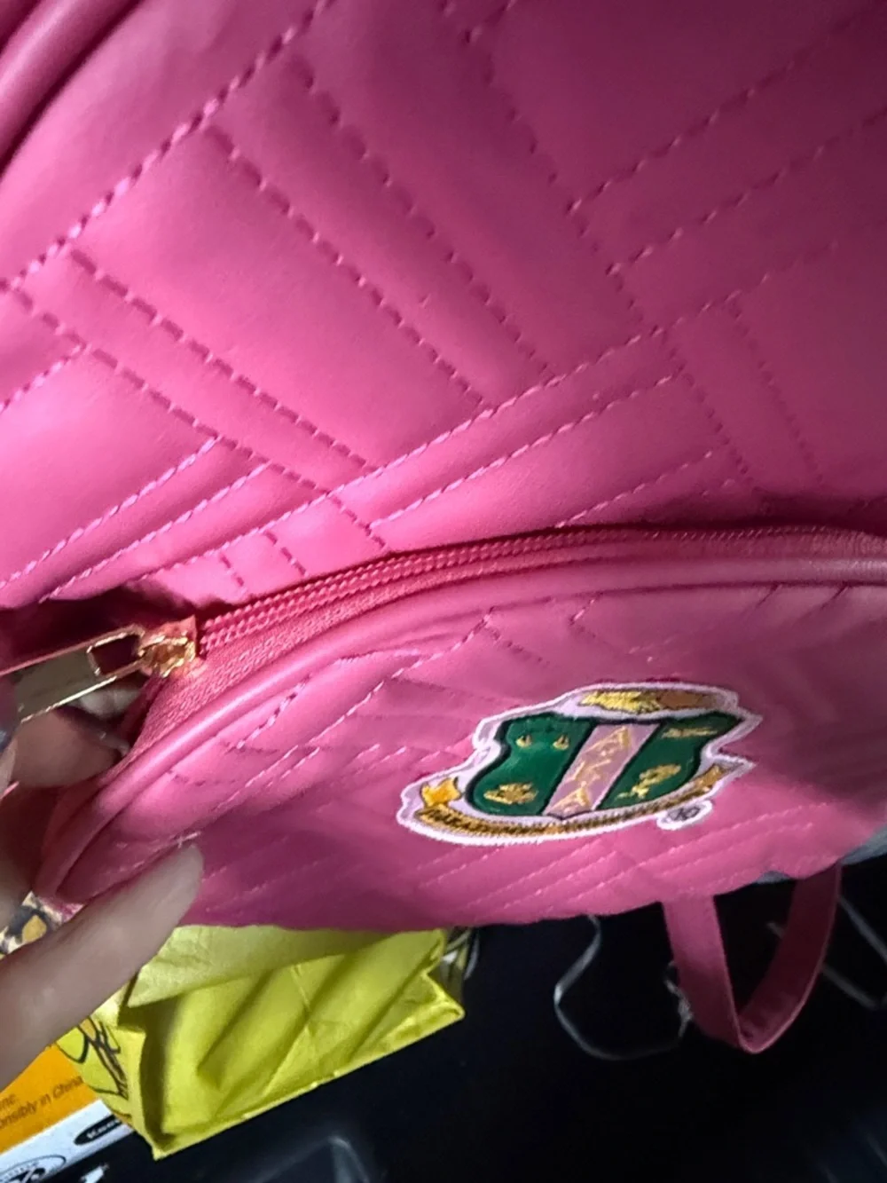 Last few days before I leave for vcay - Boule ready Alpha Kappa Alpha backpack - Picture 6 of 10